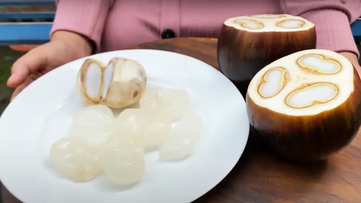Kenapa Buah Lontar Bisa Menjadi Pilihan Sehat untuk Diet Anda